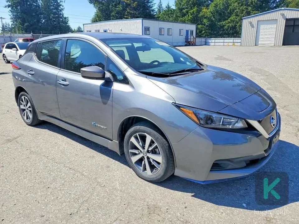 Nissan Leaf 2019 (Automată) - Chișinău - Imagine 1 din 5