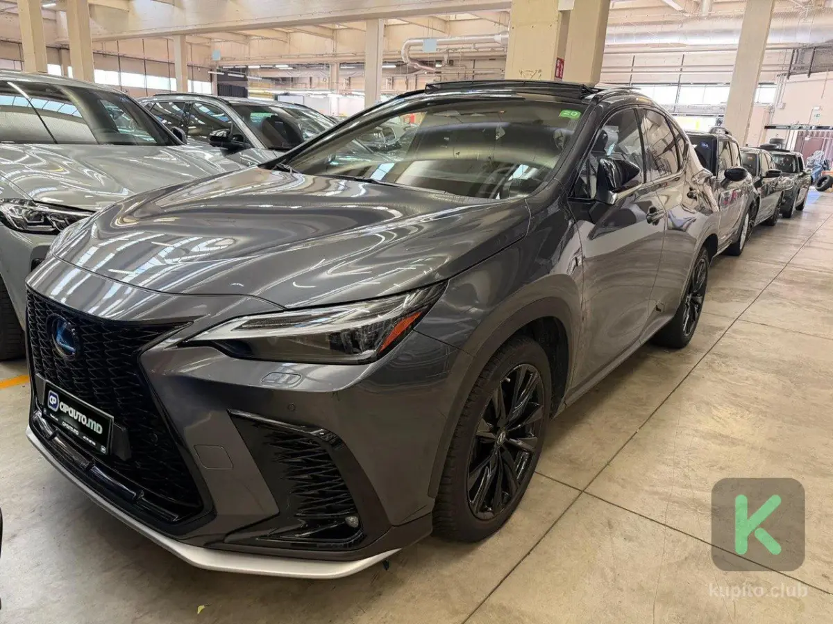Lexus NX 2022 (Automată) - Lexus NX 2022 - Chișinău - Imagine 1 din 14