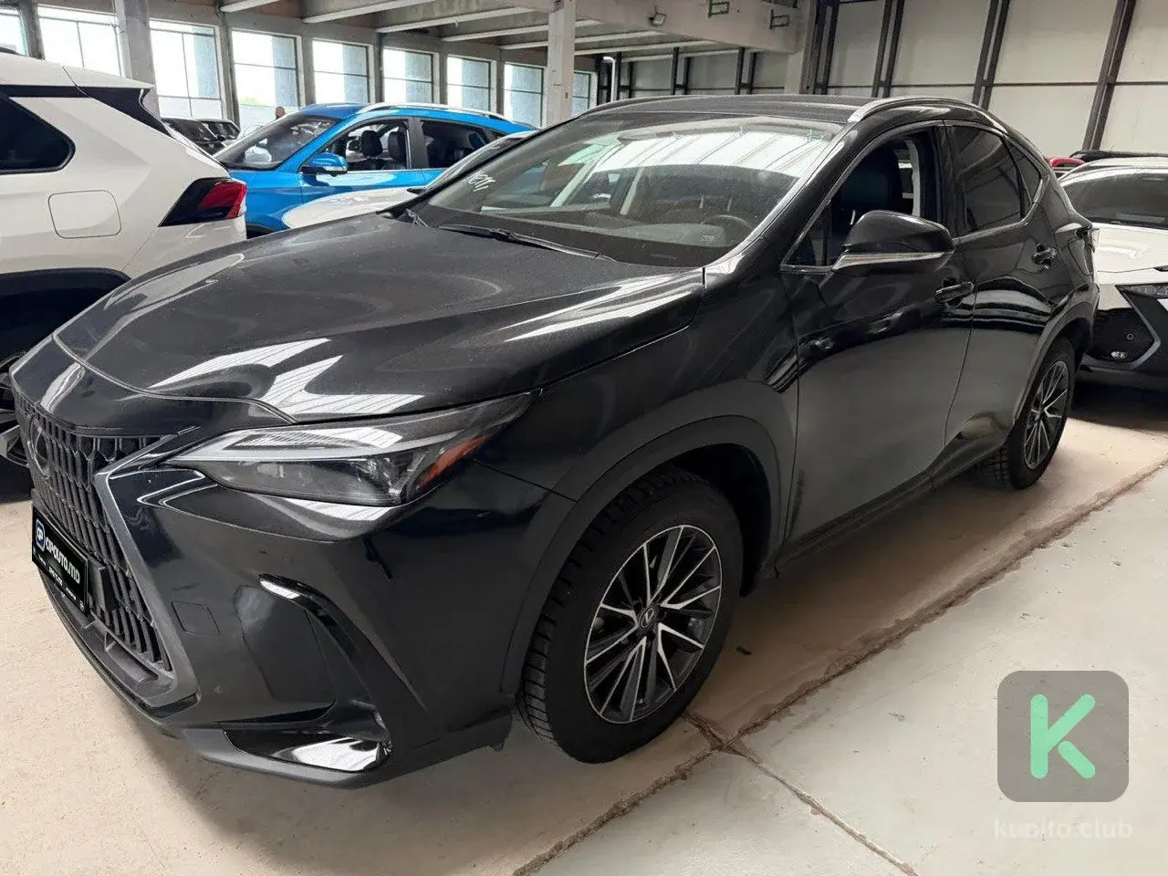 Lexus NX 2022 (Automată) - Chișinău - Imagine 1 din 5